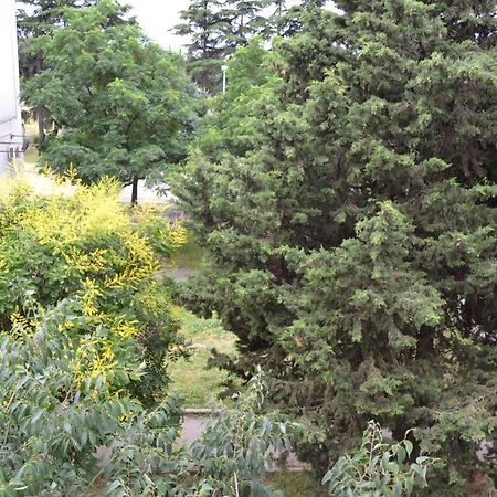 Good Vibes Apartment Zadar Dış mekan fotoğraf