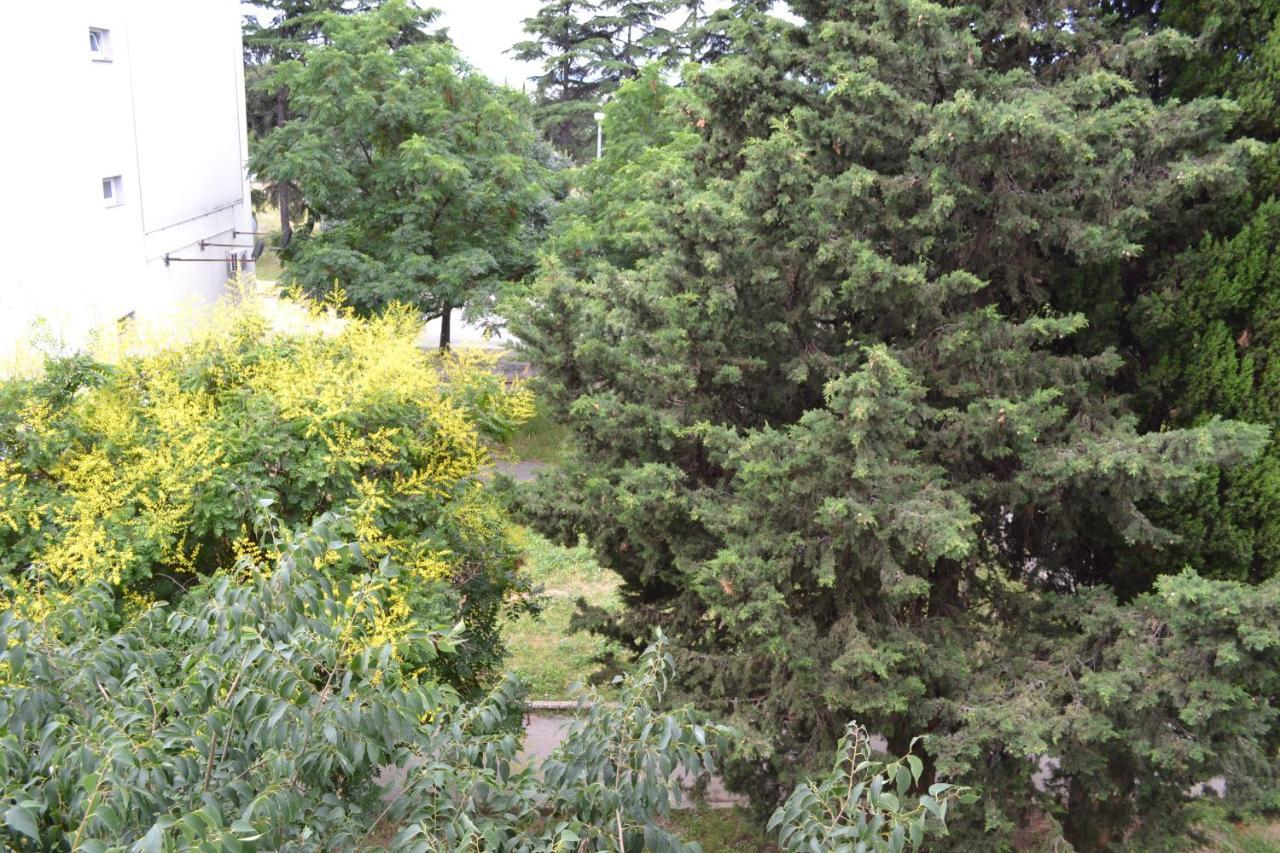 Good Vibes Apartment Zadar Dış mekan fotoğraf